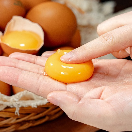 난각번호 1번 유정란 계란 무항생제 자연방사 건강한 달걀 동물복지 [무료배송]