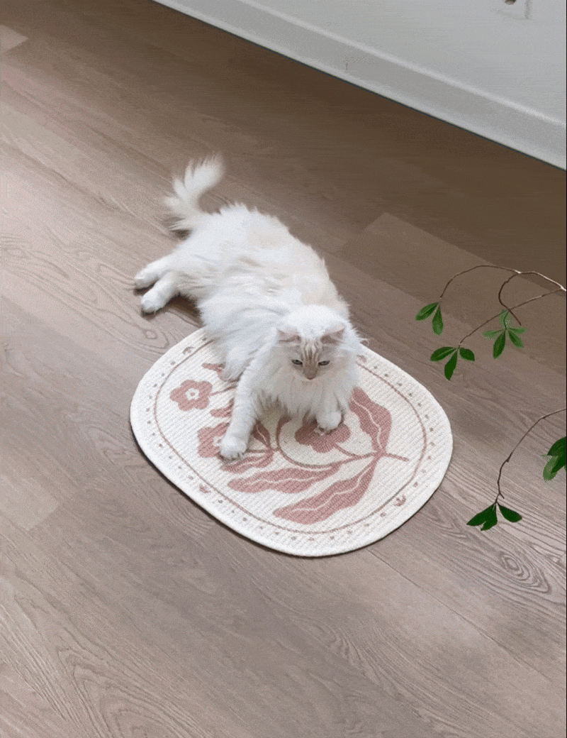 劍麻墊刮板簡介 1