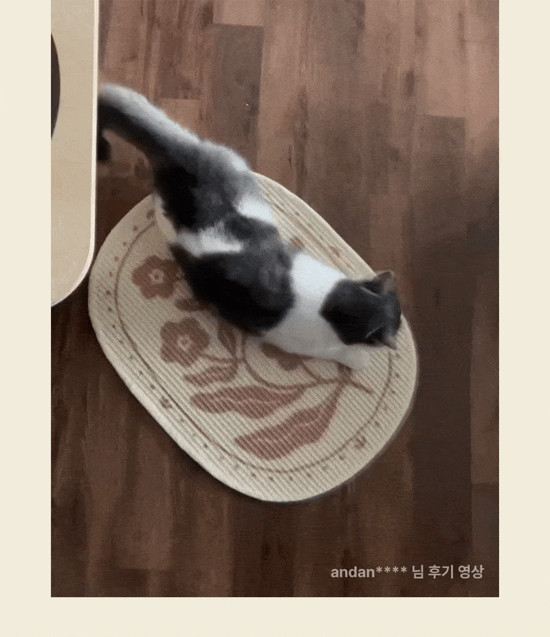 評論 GIF