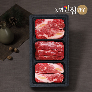 [농협안심한우] 꽃등심 500g x 2팩+채끝 500g x 1팩 /총1.5kg