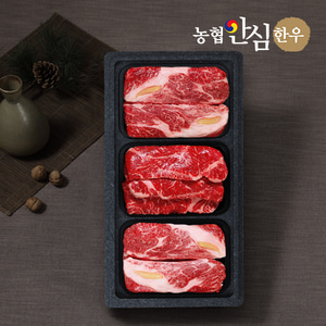 [농협안심한우] 꽃등심 500g x 2팩+특수부위 500g x 1팩 /총1.5kg