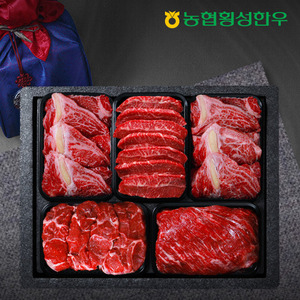 [농협횡성한우] 1등급 명품정육세트 7호 2.5kg (등심2팩+특수부위1팩+국거리1팩+장조림1팩) /팩당500g (특수부위:치마,부채,업진,차돌박이,아롱사태)