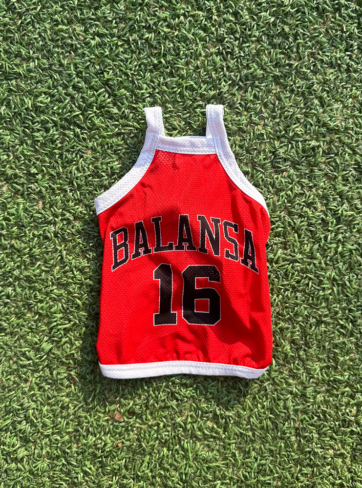 balansa 15th anniversary