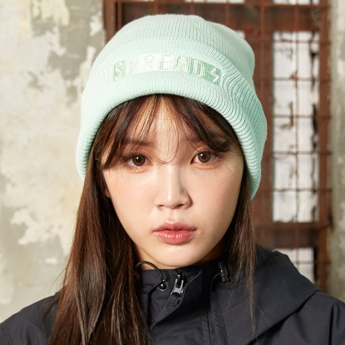 2122 스프레드 비니 SPREAD STALE LOGO BEANIE MINT