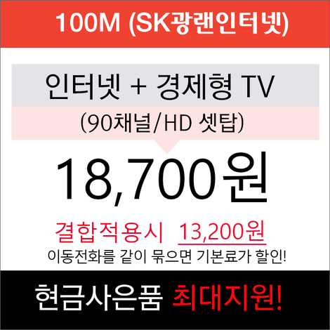 100m 경제형결합