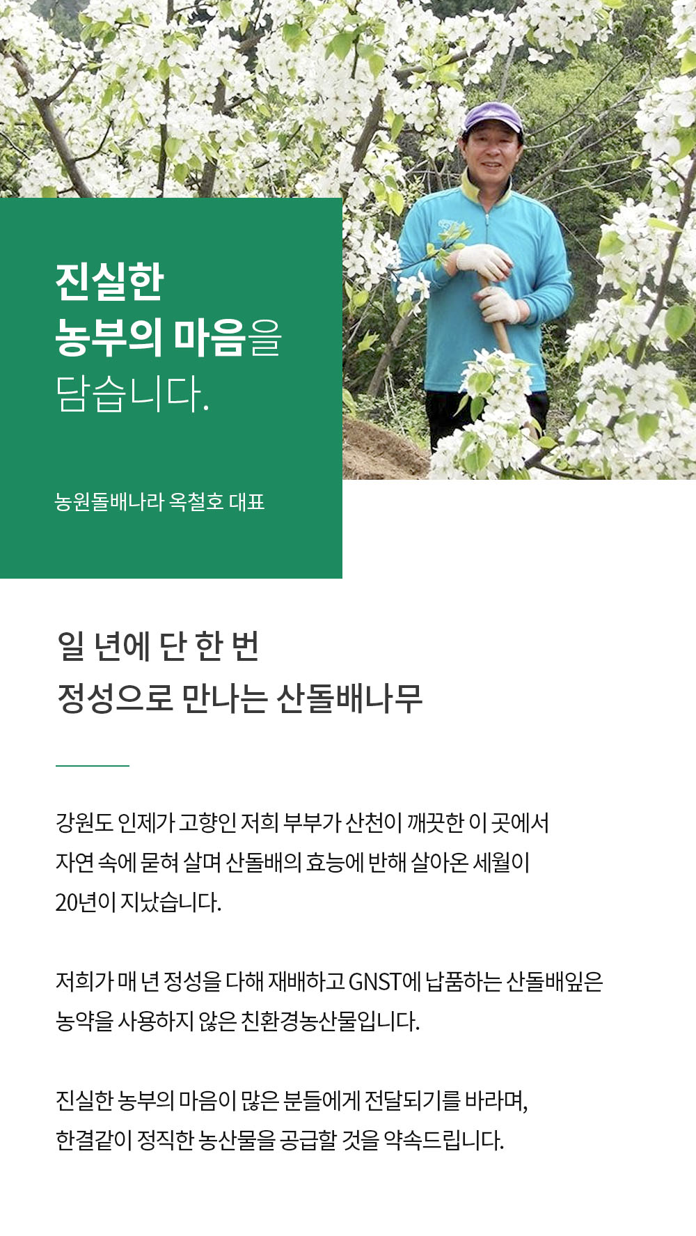 일 년에 단 한 번 정성으로 만나는 산돌배나무