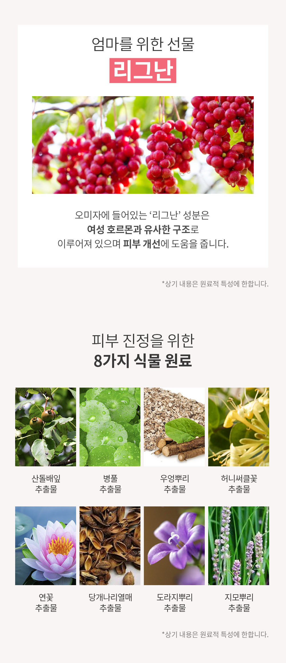 엄마를 위한 선물 리그난 피부 진정을 위한 8가지 식물 원료