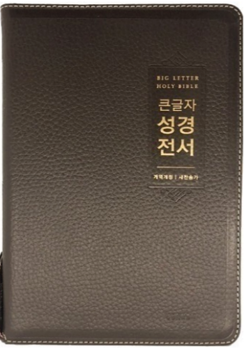 개역개정4판 큰글자 성경전서 새찬송가