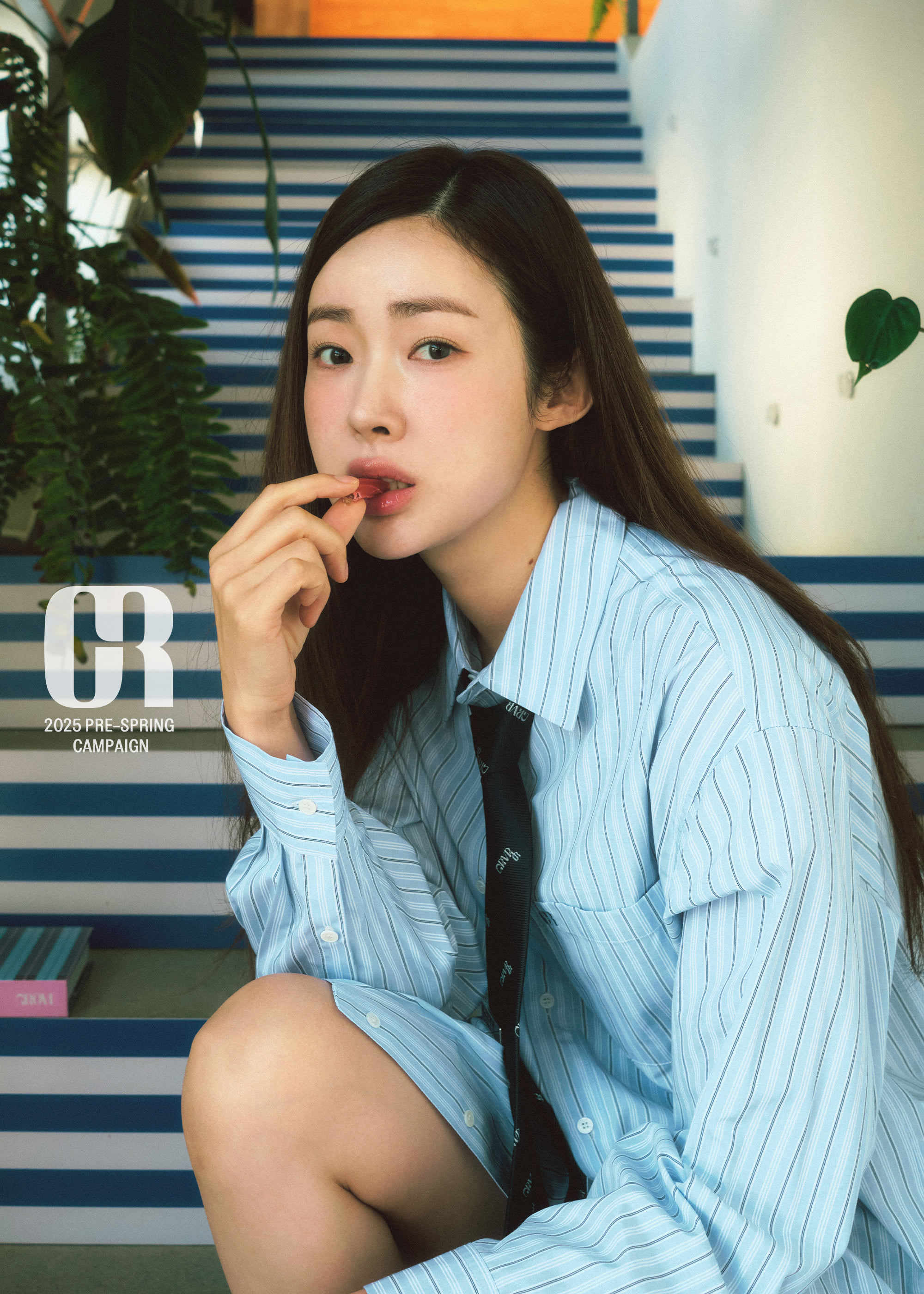 COLLECTION - 그로브