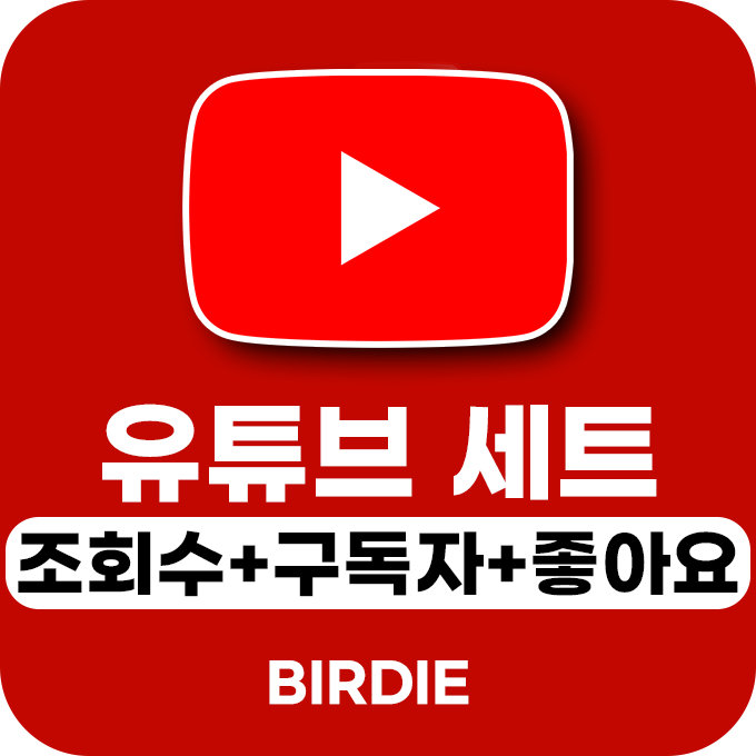 유튜브 영상 BIRDIE 세트