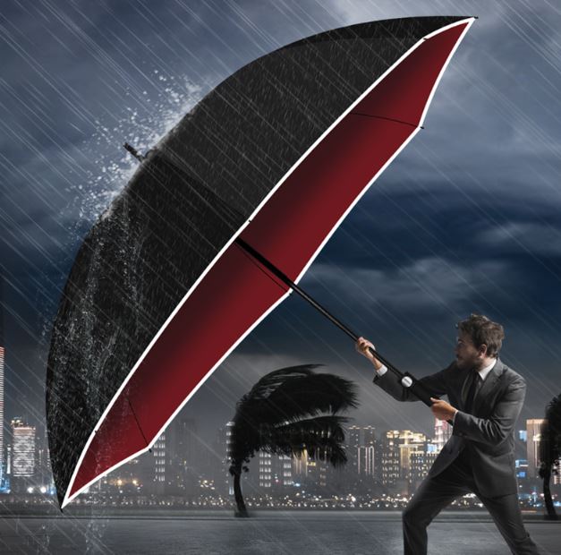 24살 장우산 튼튼한 명품우산 영국 킹스맨 대형 우산