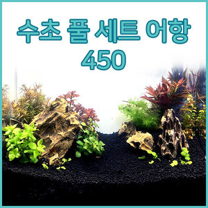 *기획* 한자반 450(가로)*250(세로)*300(높이) 한자반 수초어항 풀세트