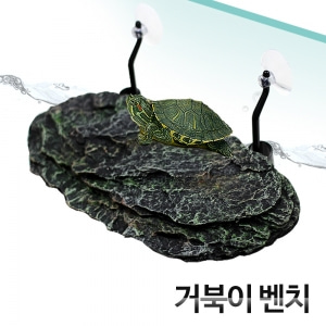 거북이 벤치