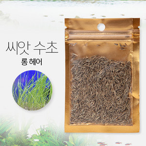 씨앗 수초 (롱 헤어) 8g