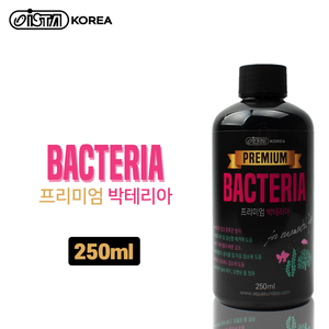 이스타 프리미엄 박테리아 250ml