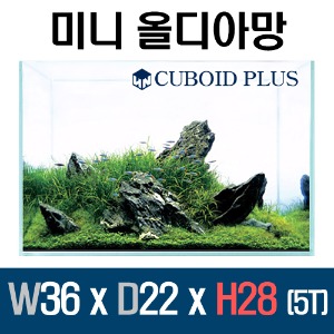 큐보이드 올디아망 플러스 36 x 22 x 28 (5T)