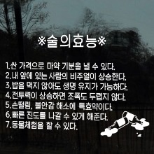 그래픽스티커,cd579-술의효능,식당,가게,주점,상업,영업,입맛,장사,음식,회식,야식,소주,술,데코,소품,인테리어,데코,꾸미기,디자인