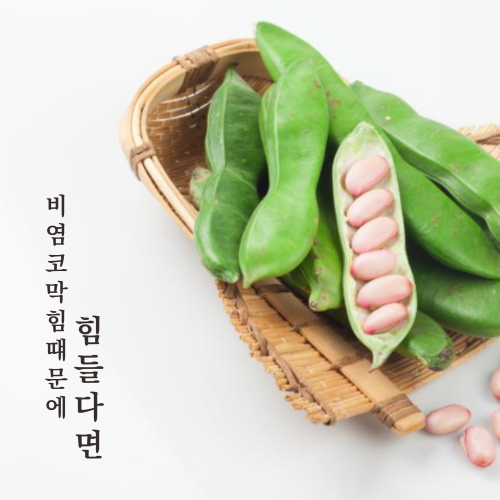 티내다 작두콩차 삼각티백 100개입