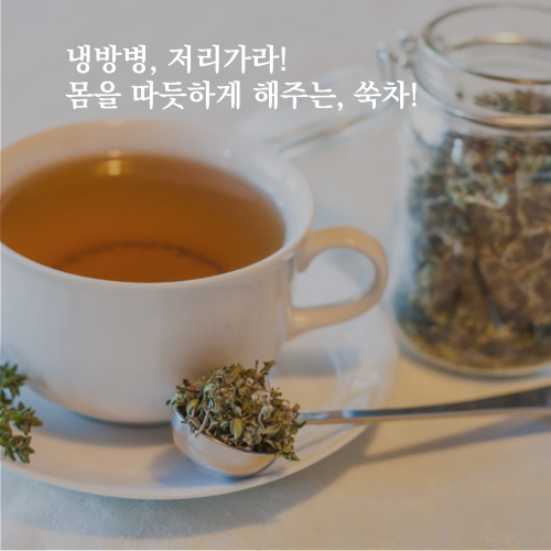 티내다 쑥차 삼각티백 100개입