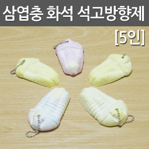 삼엽충 화석 석고방향제(5인)