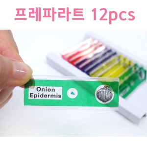 프레파라트 혼합12pcs