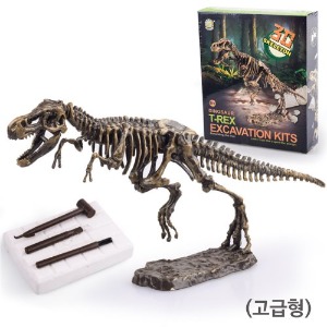 공룡화석 발굴키트 대