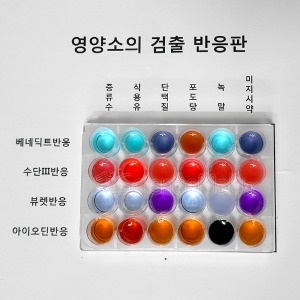 영양소검출반응실험키트 2인또는 4인1조실험