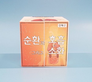 인체 순환과 호흡 그리고 소화 매직큐브 만들기 5인용 자석내장형