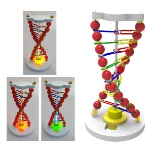 뉴 LED DNA 조명등 만들기