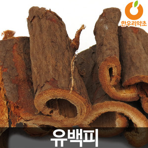 유백피 500g 느릅나무 뿌리 껍질 효능