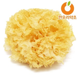 흰목이버섯 500g 은이버섯 목이버섯 효능 먹는법