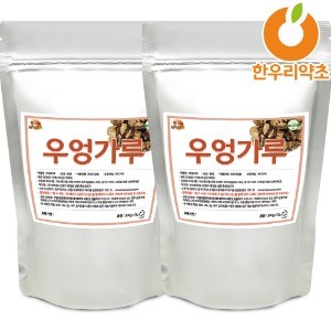 우엉가루 600g 분말 국산 먹는법 효능