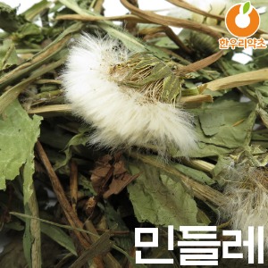 민들레 300g 포공영 흰민들레 국내산