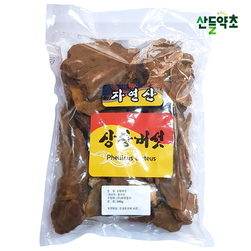 상황버섯(중국) 500g