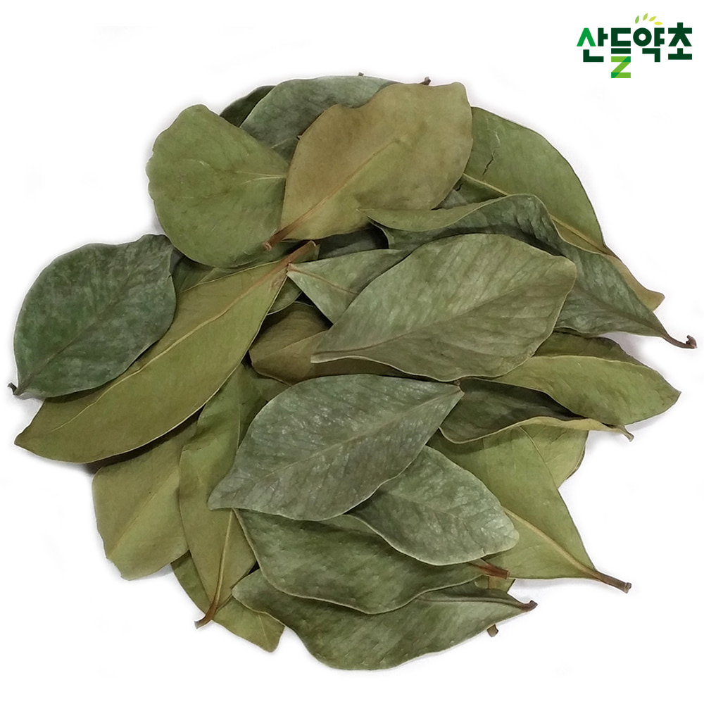 제주산 건조 구아바잎 300g