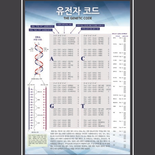 유전자 코드 판넬(액자)