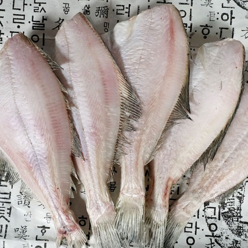 동해안 반건조 참가자미(두절) 1kg(6~7미내외)