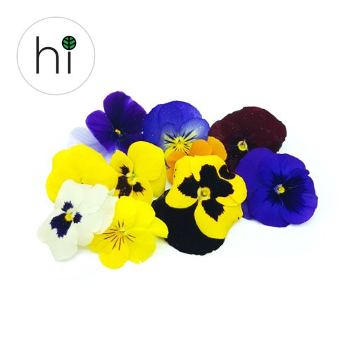 신선하고 아름다운 식용꽃 팬지 30송이, 허브아이의 최고 품질 식용꽃 팬지