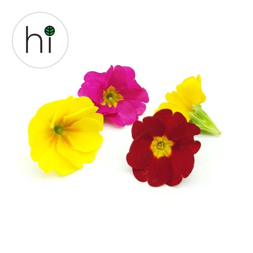 식용꽃 쥬리안 30송이 최상품 선별, 다양한 요리와 디저트에 아름다움을 더하는 식용꽃