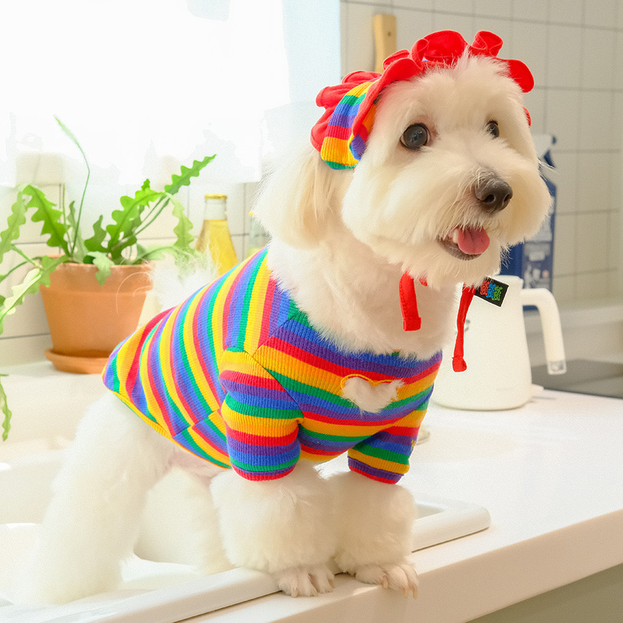 Rainbow Hairband