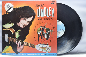 David Lindley [데이빗 린들리] - Win This Record! ㅡ 중고 수입 오리지널 아날로그 LP