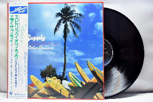 Air Supply [에어 서플라이] – Love And Other Bruises ㅡ 중고 수입 오리지널 아날로그 LP