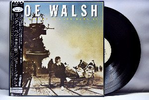 Joe Walsh [조 월쉬] - You Bought It - You Name It ㅡ 중고 수입 오리지널 아날로그 LP