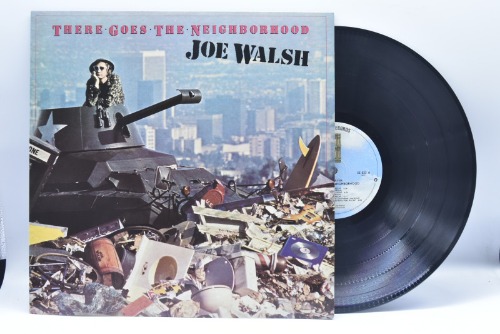 Joe Walsh[조 월쉬]-There Gones the Neighborhood 중고 수입 오리지널 아날로그 LP