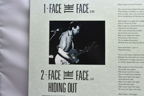 Pete Townshend - Face The Face  ㅡ 중고 수입 오리지널 아날로그 LP