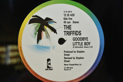 The Triffids - Goodbye Little Boy ㅡ 중고 수입 오리지널 아날로그 LP