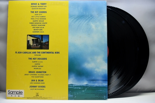 Various – Summer Means Fun ㅡ 중고 수입 오리지널 아날로그 2LP