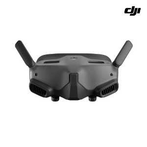 [DJI] 디제이아이 Goggles 2