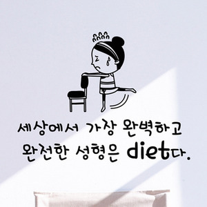 idc322-완전한 성형은 diet