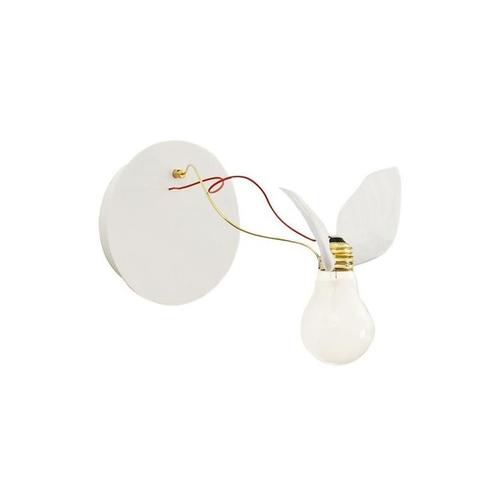 잉고마우러 Ingo maurer Lucellino Wall Lamp 벽등